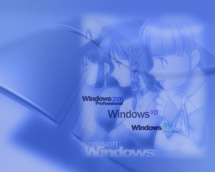 ShadowoWindowall020.jpg